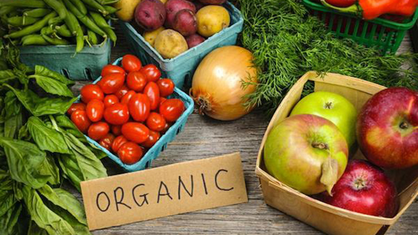 Organic Food production