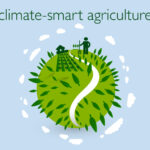 Climate Smart Agriculture