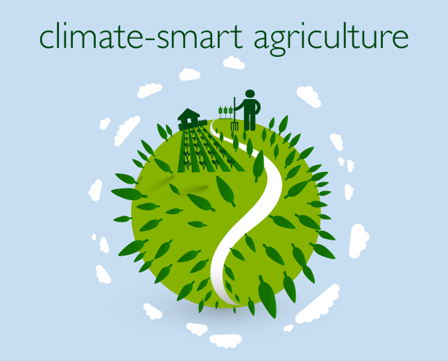 Climate Smart Agriculture