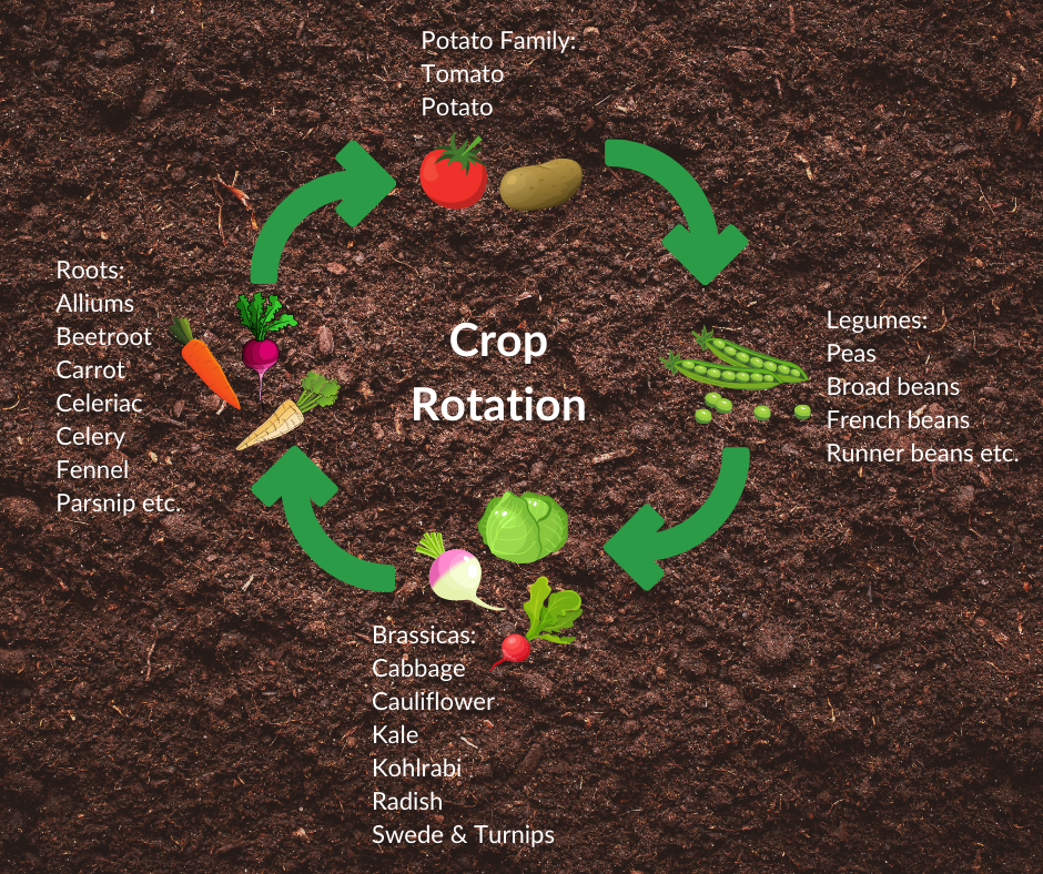 Crop Rotation