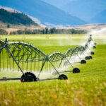 Understanding Irrigation Systems