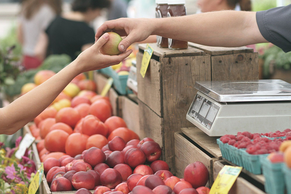 From Farm to Fork: The Changing Landscape of Agricultural Retail