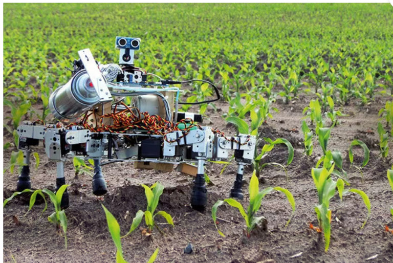 Agriculture Robot